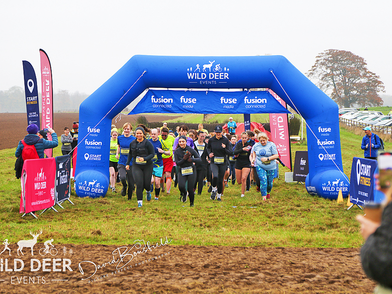 Wild Deer Events - Custom Inflatable Arches