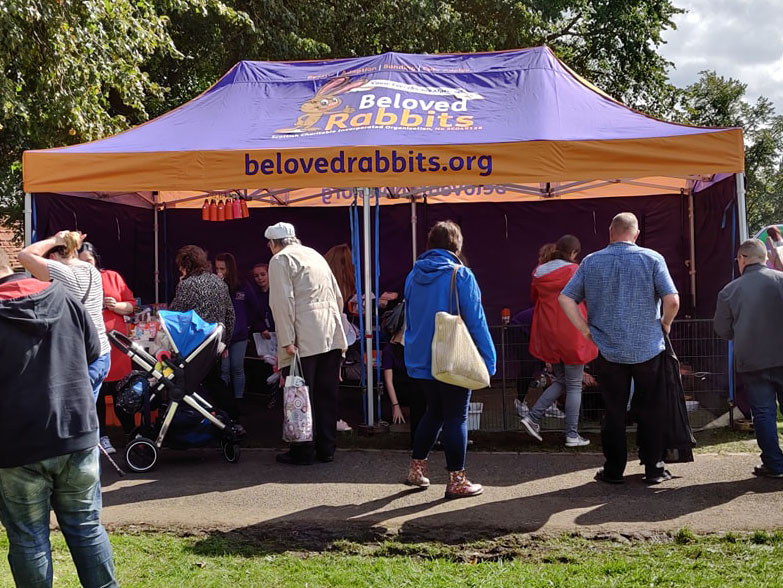 Beloved Rabbits Printed Canopy
