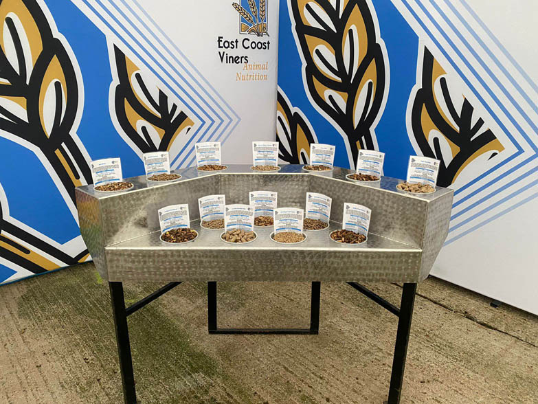 Two 3m InstaStretch Backdrops