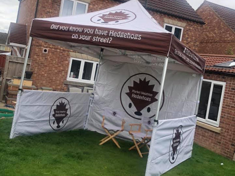 Market Weighton Hedgehogs mw-hedgehogs